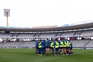 MDZol | los pumas