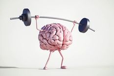 El cerebro humano es uno de los órganos más complejos del cuerpo, por eso, para mejorar su rendimiento se pueden hacer ciertos ejercicios Foto: Shutterstock