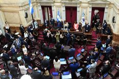 Foto: Twitter Senado Argentina