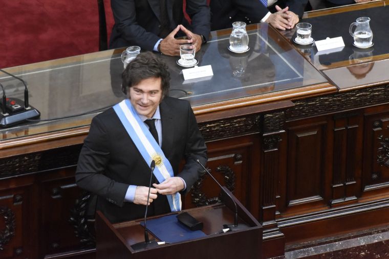 Milei volvió a desafiar a Manes Foto: Juan Mateo Aberastain/MDZ