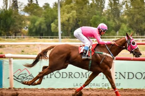 El Hipódromo de Mendoza es la sede del Gran Clásico Vendimia y el Clásico Patrono Santiago El Hipódromo de Mendoza es la sede del Gran Clásico Vendimia y el Clásico Patrono Santiago
