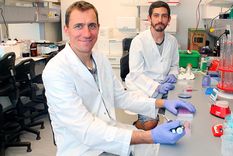 Cómo los desechos celulares podrían ayudar a frenar el avance del cáncer