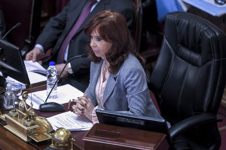 Los senadores que responden a Cristina modificaron el proyecto de Alberto Fernández. Foto: Télam