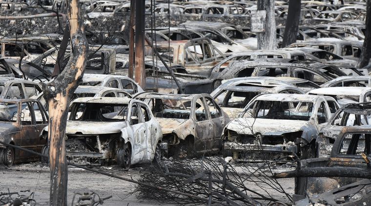 Al menos unos 26 mil rodados consumió el incendio en San Agustín Foto: ALF PONCE MERCADO / MDZ
