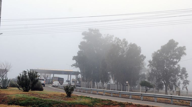 Foto: Alf Ponce / MDZ