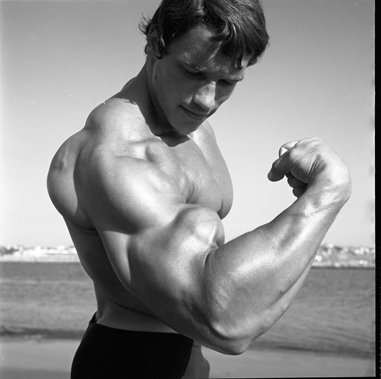 Arnold Schwarzenegger cumple 78 años: 5 películas para celebrarlo