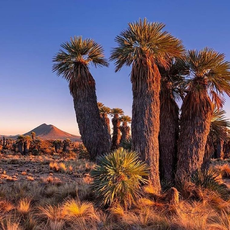 Foto: @conoce_traslasierra