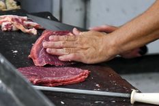 Fuerte aumento de la carne en la última semana Foto: Santiago Tagua/MDZ