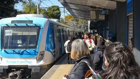 El servicio del tren Roca se vio afectado por esta tragedia.