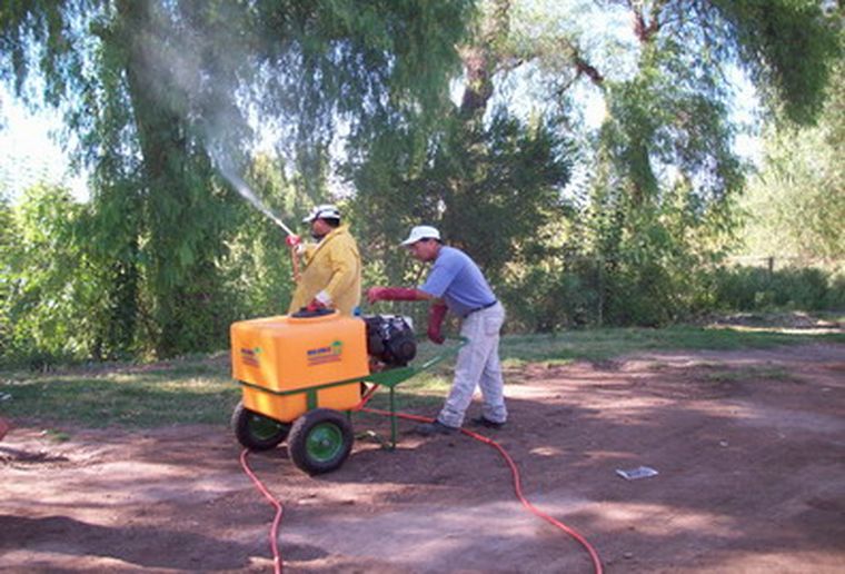 La máquina fumigadora trabaja en diversos sectores del departamento de Junín. Foto: Prensa Junín