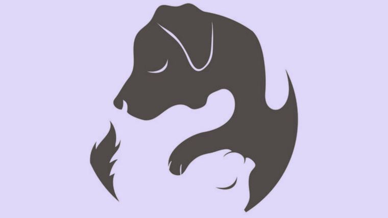 Test de personalidad