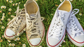 Una limpieza que no falla. Foto: Shutterstock