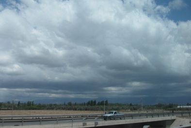 MDZol | 446463.jpg
