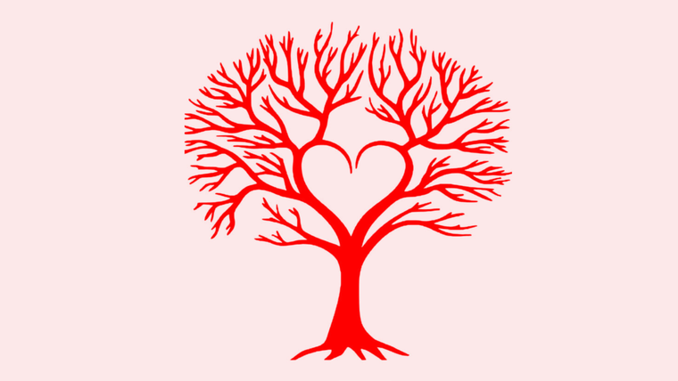 TEST DE PERSONALIDAD