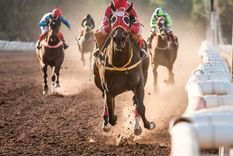 El Hipódromo de Mendoza es una referencia para la provincia. Foto: Foto gentileza José Maluf El Hipódromo de Mendoza es una referencia para la provincia. Foto: Foto gentileza José Maluf