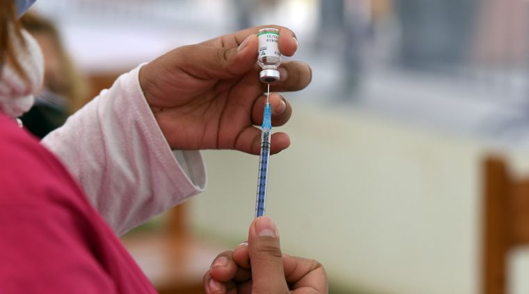 ¿Estamos suficientemente preparados para una pandemia por el virus H5N1?. Foto: ALF PONCE MERCADO / MDZ