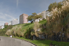 estaba orinando, perdio el equilibrio y murio contra el asfalto en mar del plata