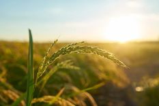 Estos destinos te ayudarán a desestresarte Foto: Freepik