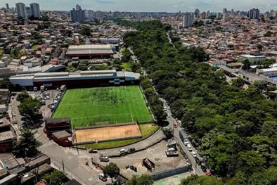 MDZol | Los árboles comenzaron a plantarse en 2003. Foto: Vitor Serrano/BBC News Brasil