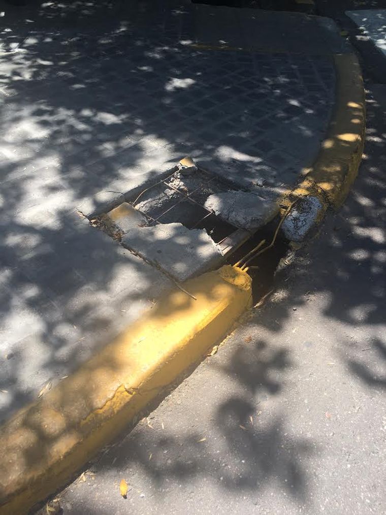 Foto: Gentileza lector MDZ