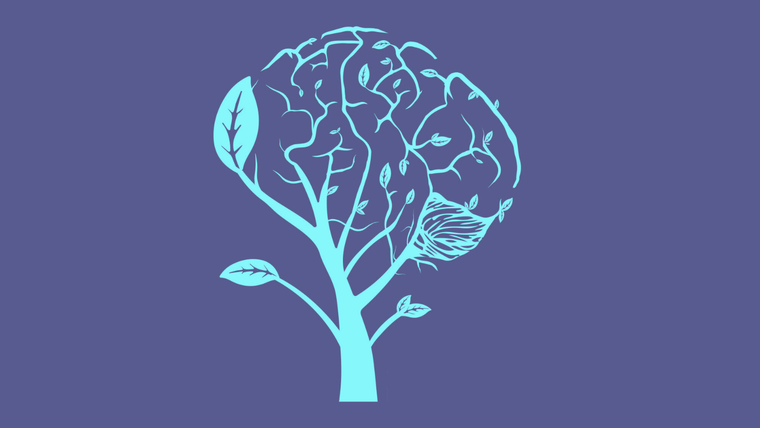 test de personalidad test de personalidad