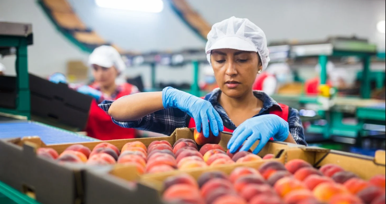 La asistencia del sector público se realizará de manera más directa en los privados y focalizada según las necesidades concretas Foto: Shuterstock.