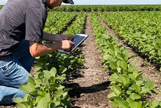 El acceso a información en tiempo real permite al productor monitorear sus operaciones de manera más estratégica.