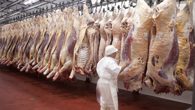 La carne bovina subió 55% en un año y cayó el consumo interno