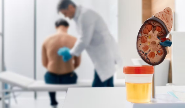 Controlar los riñones y no dejar que aparezcan las señales negativas es de vital importancia para la salud. Foto: Shutterstock