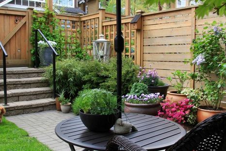 Con estos consejos, cualquier persona puede disfrutar de un jardín interior perfecto Foto: Shutterstock