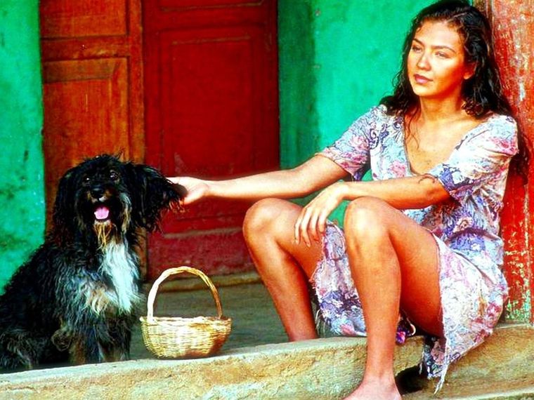 Pulgoso fue un personaje muy querido por el público de Marimar.