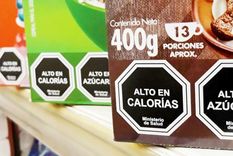 detalles del proyecto que aprobo el senado y que unio a cobos y anabel