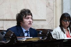 Foto: @DiputadosAR Foto: @DiputadosAR
