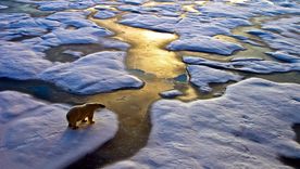 El audaz plan para salvar el Ártico con vidrio