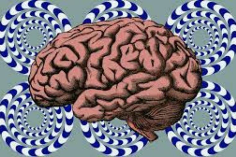 Test Visual Test Visual con Ilusión Óptica Foto: Images