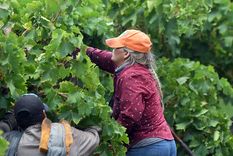 La participación de la mujer en las economías regionales será el foco del encuentro. Foto: ALF PONCE MERCADO / MDZ
