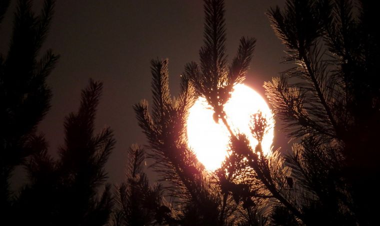 Foto: espanol.torange.biz