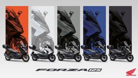 Honda Forza 125 y 350 Honda Forza 125 y 350