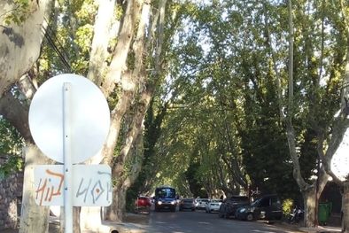 MDZol | El impacto del movimiento vehicular en las calles de Chacras de Coria obliga a reforzar los controles Foto: Gentileza