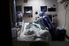 la pandemia de covid-19 avanza hacia los 11,5 millones de casos en todo el mundo