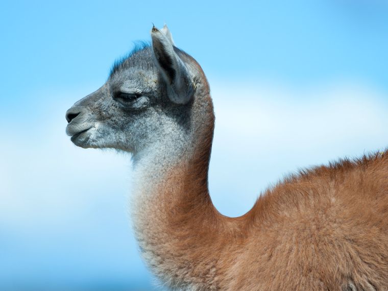 En los entornos naturales más diversos KP apuesta al desarrollo sostenible aplicando un código de conducta ambiental activo.