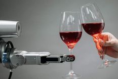 Inusual prueba entre robots motorizados por Inteligencia Artificial y sommeliers. Quién ganó.
