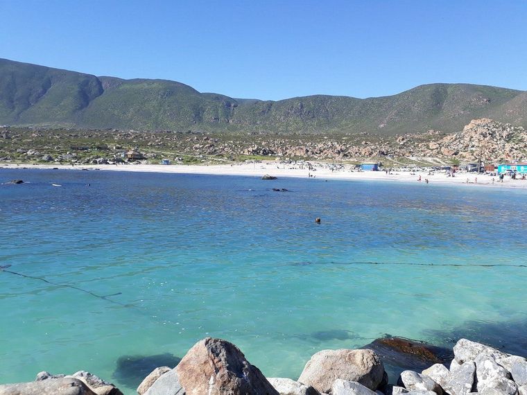 Totoralillo es una de las playas más lindas de Chile Foto: TripAdvisor