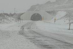 El Paso Internacional se encuentra habilitado con algunas restricciones de circulación Foto: Twitter @PasoCRMza El Paso Internacional se encuentra habilitado con algunas restricciones de circulación Foto: Twitter @PasoCRMza