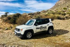 ¿cuales son los suv lideres del mercado argentino?