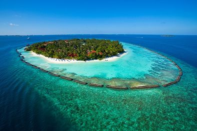 MDZol | Foto: Kurumba
