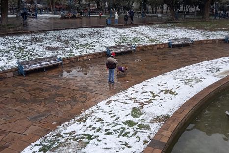 Se aproxima un frente frío en Mendoza. Todos los detalles. Se aproxima un frente frío en Mendoza. Todos los detalles.