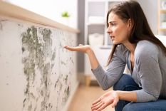 Cómo eliminar la humedad de tus paredes.