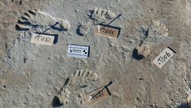 Las huellas pertenecen a niños y adolescentes que vivieron hace al menos 21.000 años. Foto: BOURNEMOUTH UNIVERSITY