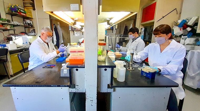 El CONICET ofrece menos becas de las estipuladas. Foto: Télam